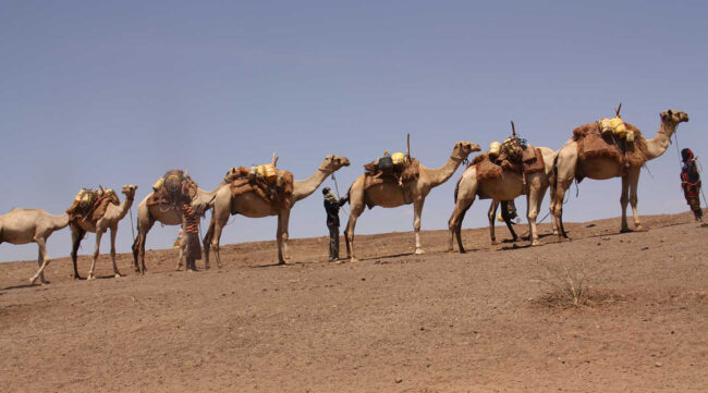 7-ways-to-introduce-marsabit-national-park-reserve-banner