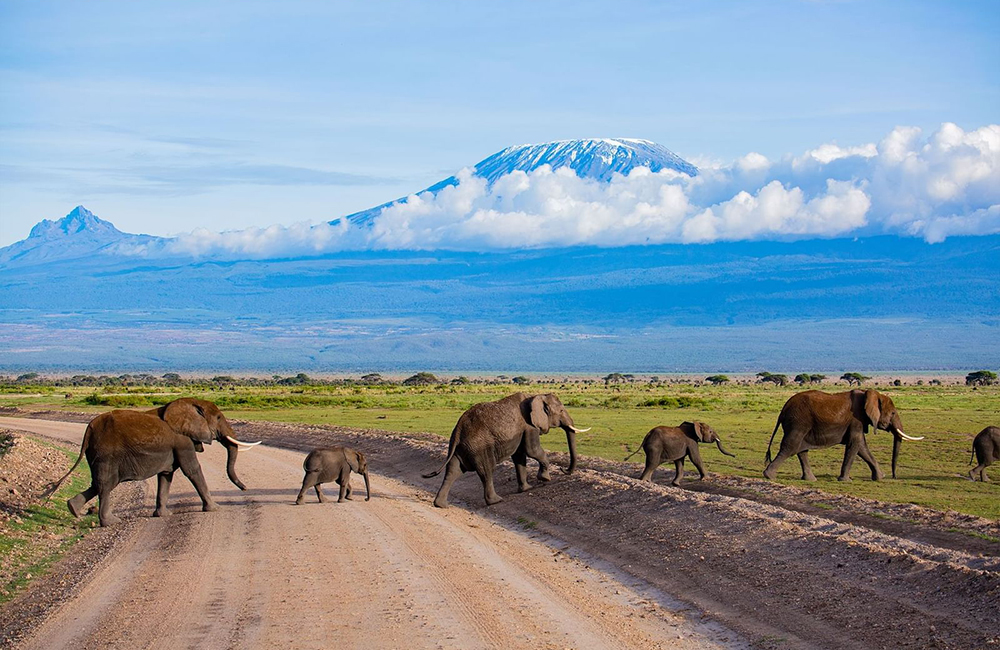 3 ရက် Amboseli အမျိုးသားဥယျာဉ် Safari