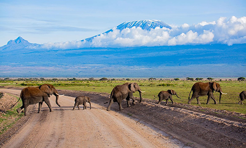 8 Days Masai Mara, Lake Nakuru, Serengeti & Ngorongoro Crater Safari ...