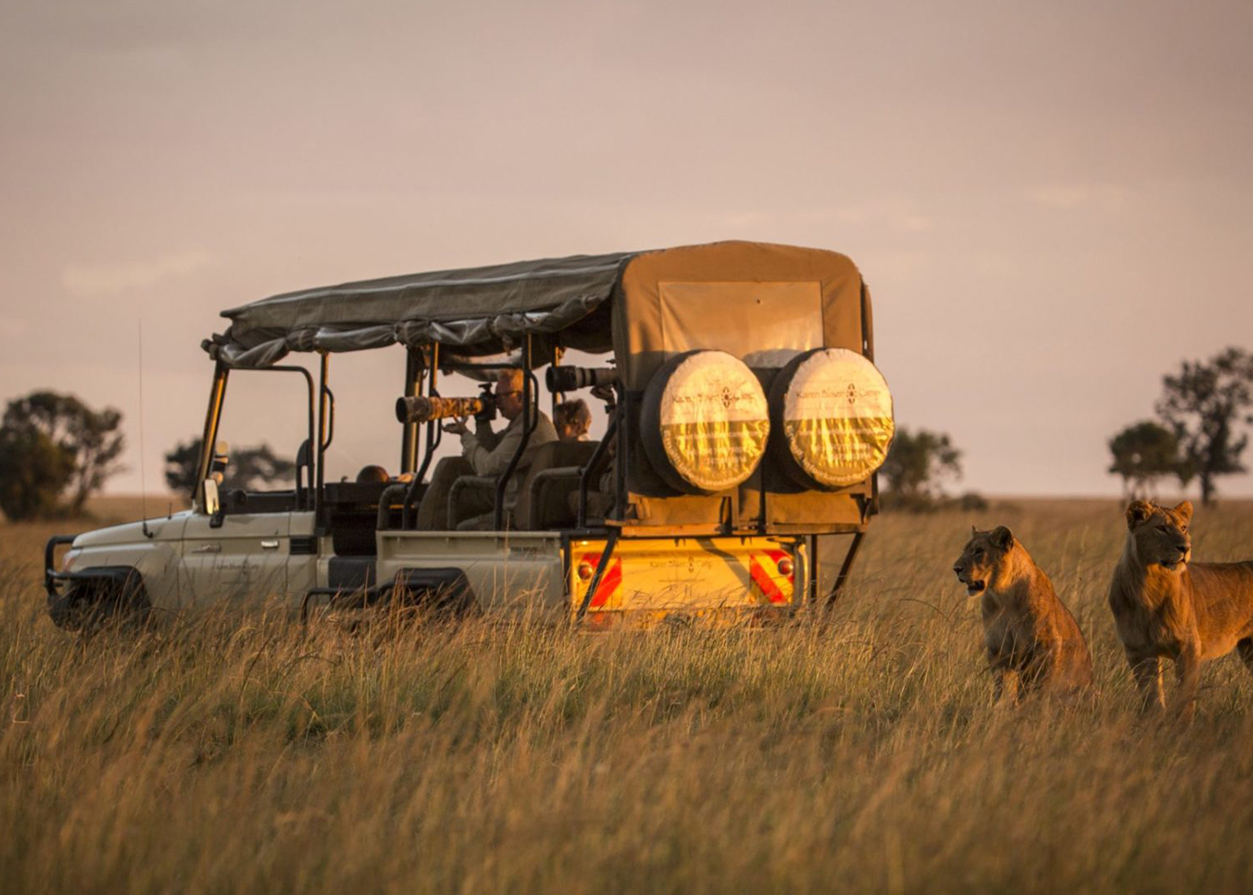Safari Kenijā