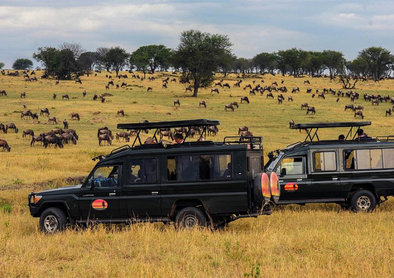 Safaris in Kenya, Kenya Safari, Best Kenya Safaris 2024/2025