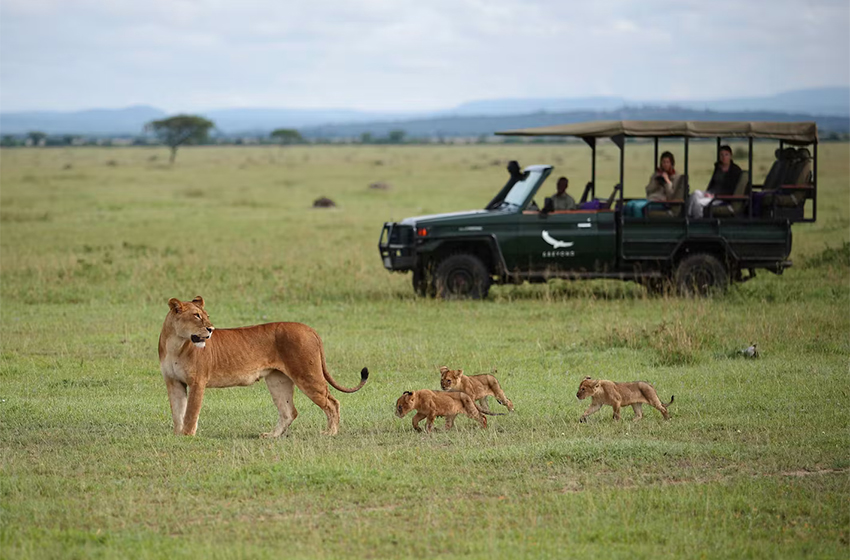 Tansanian safarit
