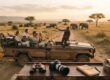 How to Plan a Kenya Safari in 2026: A Step-by-Step Guide