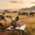 Kenya Safari Itinerary Planning: Expert Tips for 2026