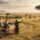 Kenya Safari for First Timers: A Complete Guide for 2026